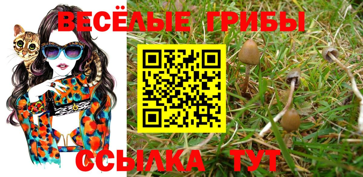 Псилоцибиновые грибы Psilocybe  Вход с VPN  Галлюциногенные грибы ЛСД  Добрянка 