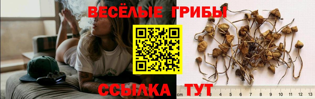 Псилоцибиновые грибы ЛСД Добрянка
